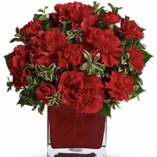 Red carnations arranged in a square glass vase
