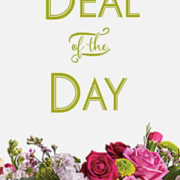 Deal of the Day text above a colorful floral arrangement