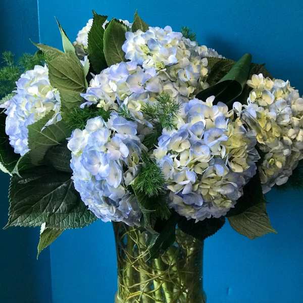 Blue and white hydrangea bouquet in a glass vase
