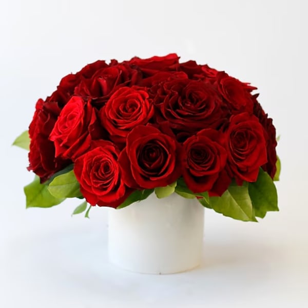 Red roses arranged in a white round vase