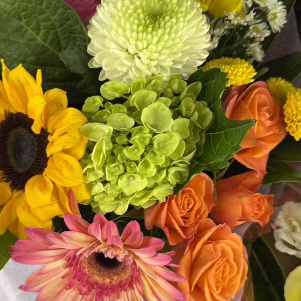 Mixed bouquet with sunflowers, roses, hydrangea, and gerbera daisies