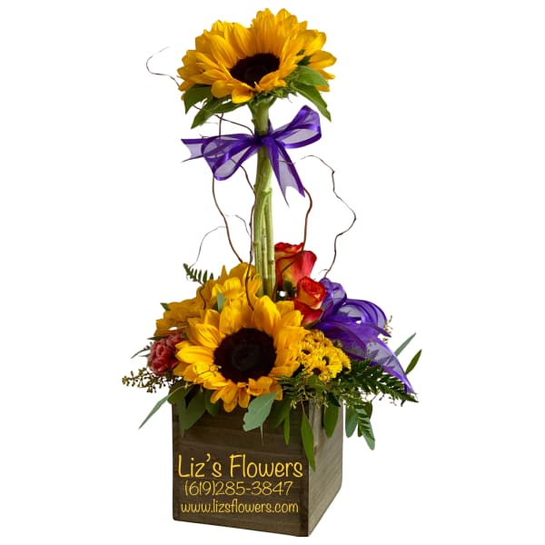 The beauty of Sunflowers