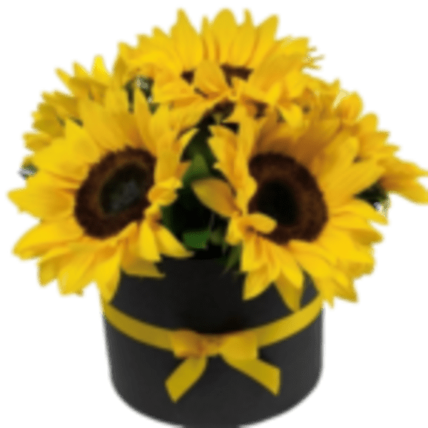 Sunflowers arranged in a black hatbox with a yellow ribbon