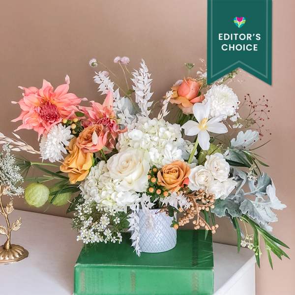 Aria (Editor's Choice)