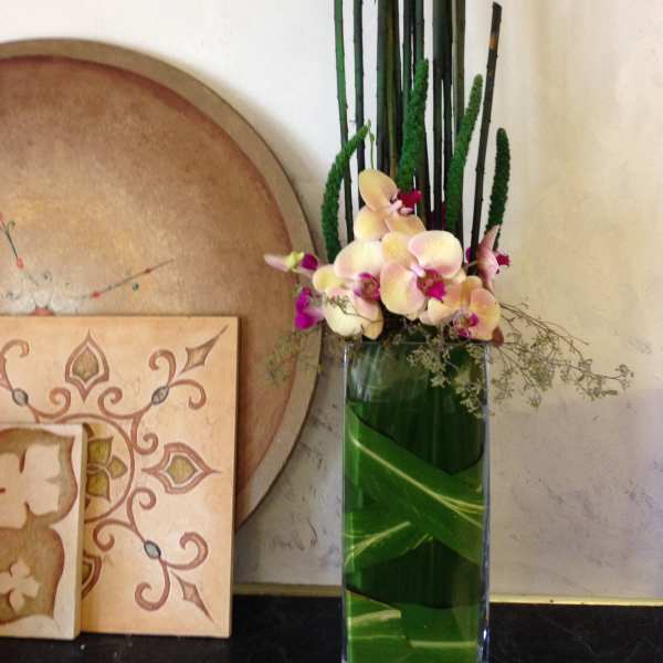 Tall orchid arrangement in a glass vase with dark decorative reeds
