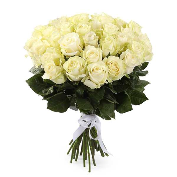 Bouquet of pale yellow roses tied with a white ribbon