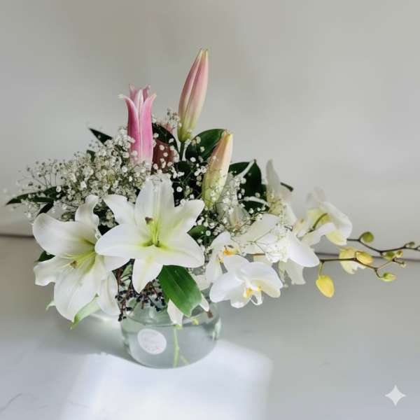 Whitewave flower