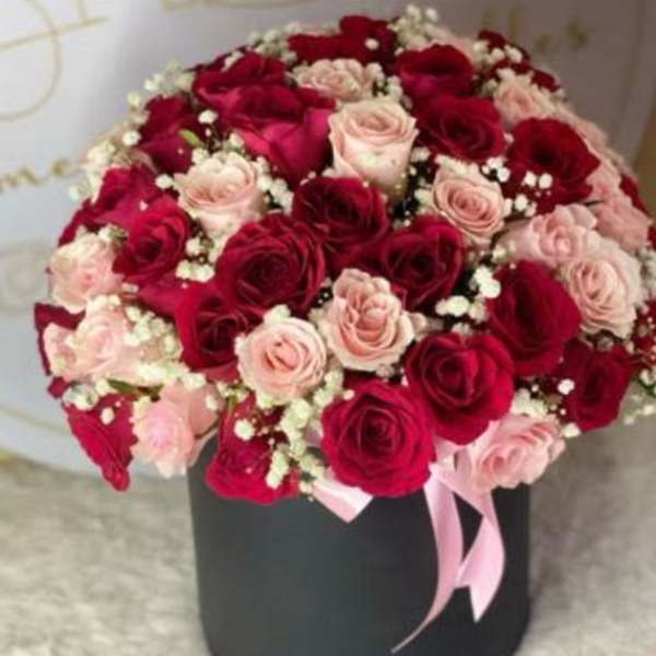Elegant Rose in Round Box