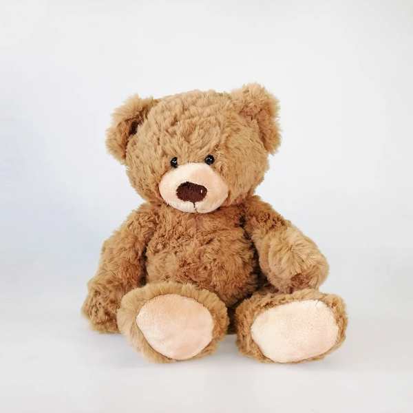 Plush teddy bear sitting against a white background