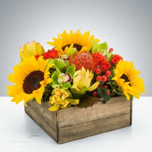 Picnic Flower
