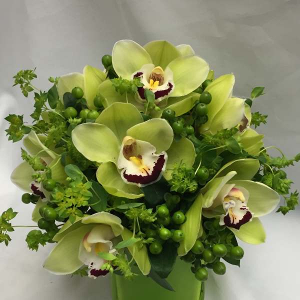 Green orchid arrangement in a square glass vase