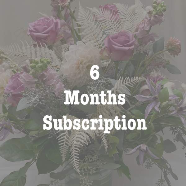 Pastel bouquet of pink roses and white dahlias in a glass vase with six months subscription text overlay