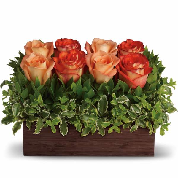 Peach and red roses in a rectangular wooden box