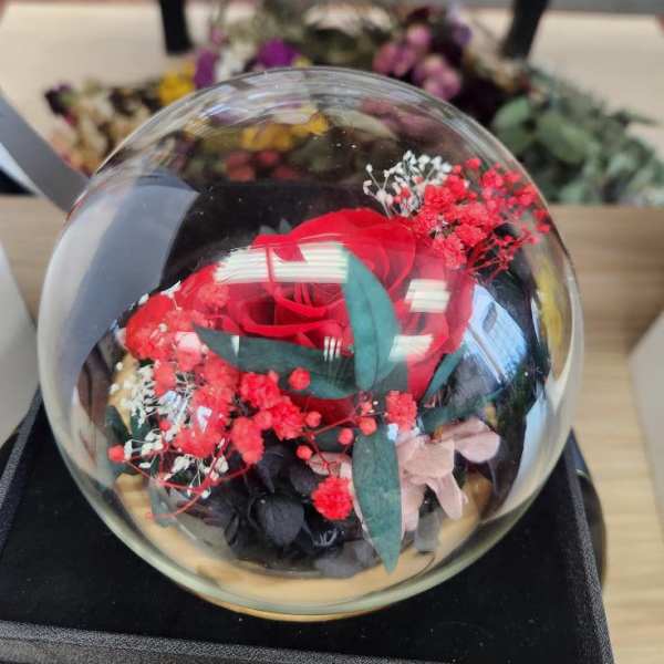 Preserved Red/Pink Roses in Light Up Globe