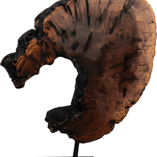 Date Tree Wood Sculpture