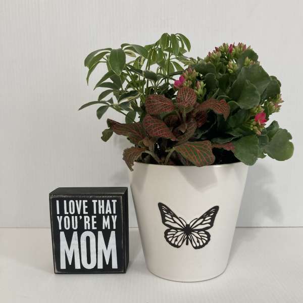 Love You Mom