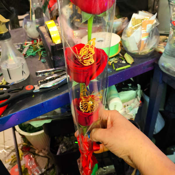 Three red roses in a clear sleeve with butterfly decorations