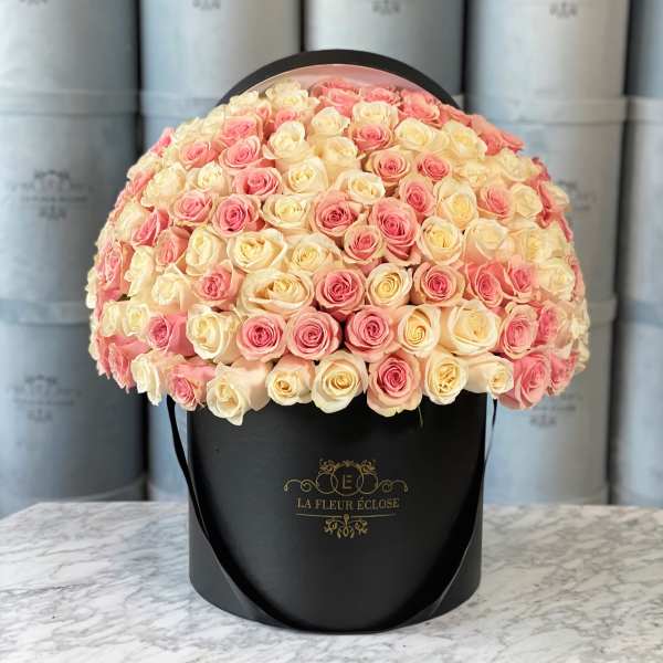 Large dome of pink and cream roses in a black hat box