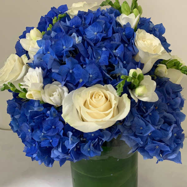 Blue Dutch Supreme & Roses