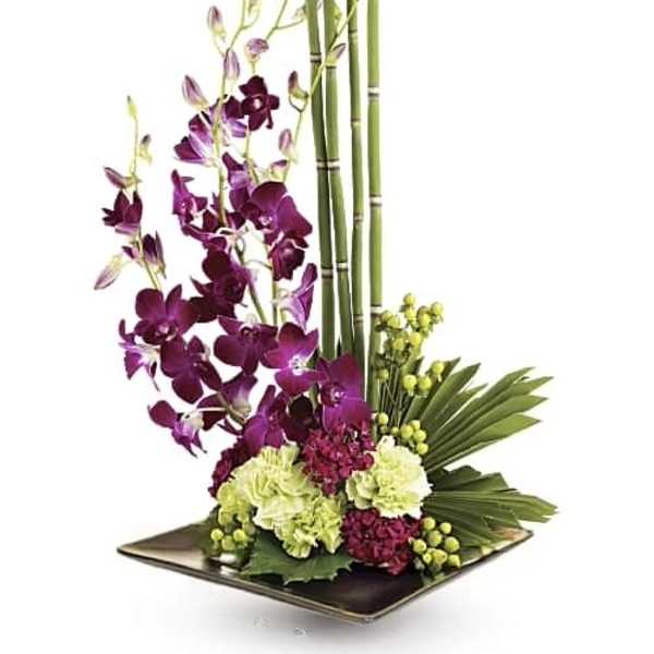 Zen Artistry