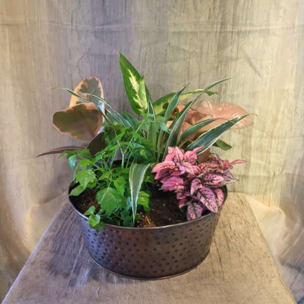 Bronze Planter ~ Flower A Day
