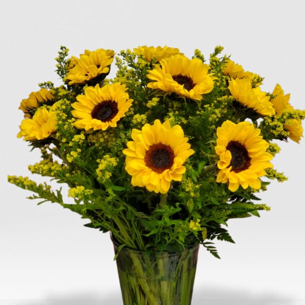 Sun Set