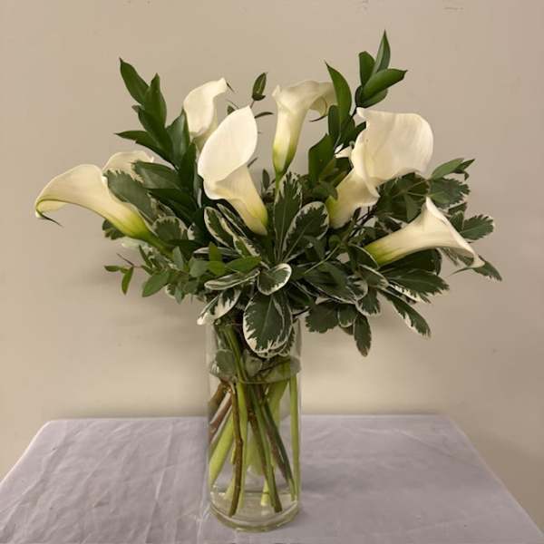 Charming Calla