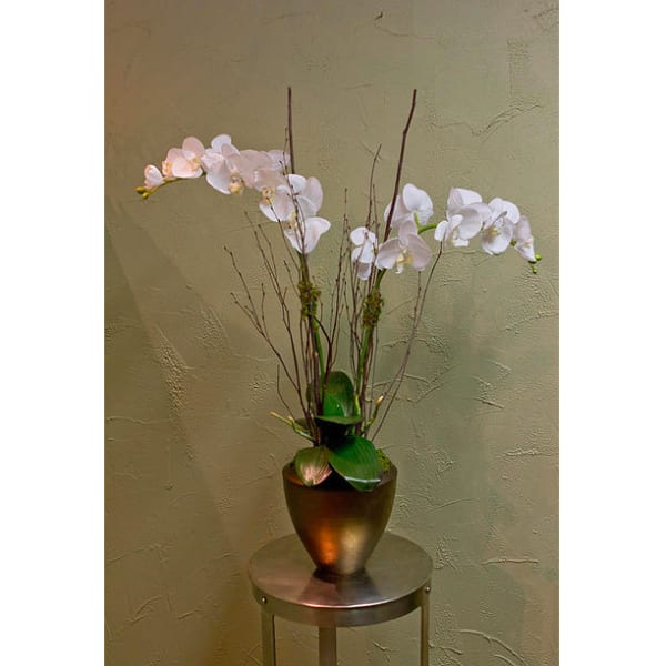 White orchid arrangement in a bronze vase on a small table