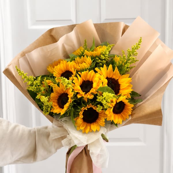 SUNFLOWER FIELDS