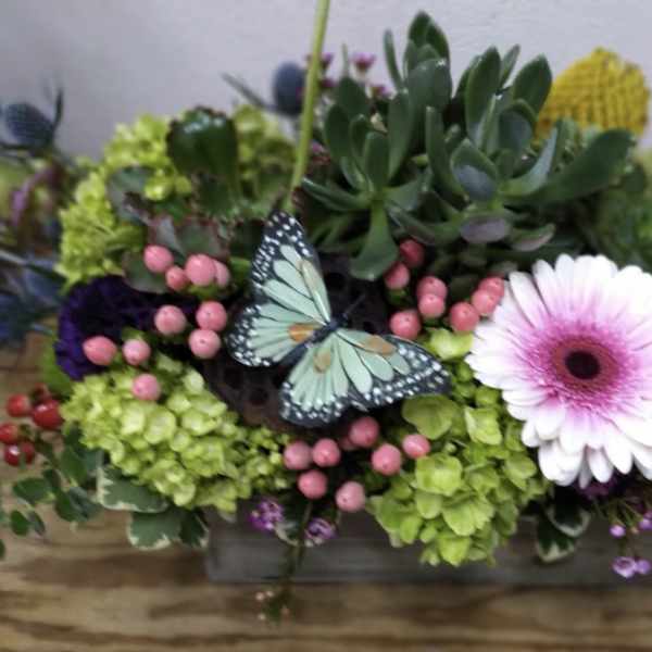 Succulent arrangement with a pink gerbera daisy and butterfly decoration