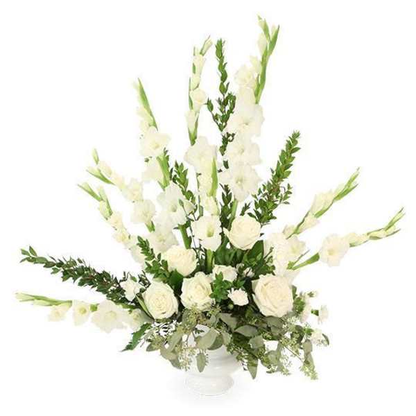Tribute - Dignity in White