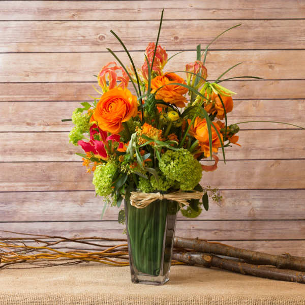FREE SPIRIT