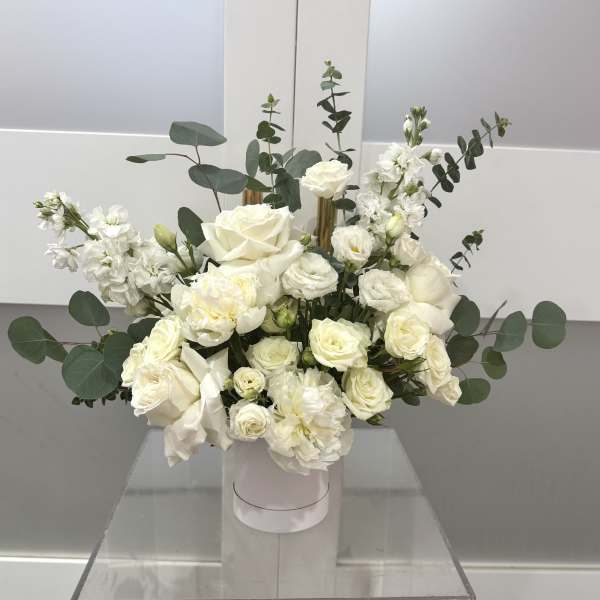 Ivory Grace Luxe Box