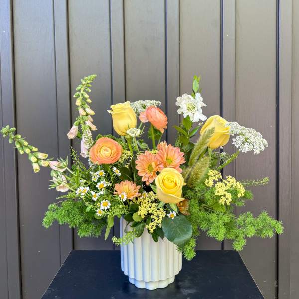 Apricot Dreams