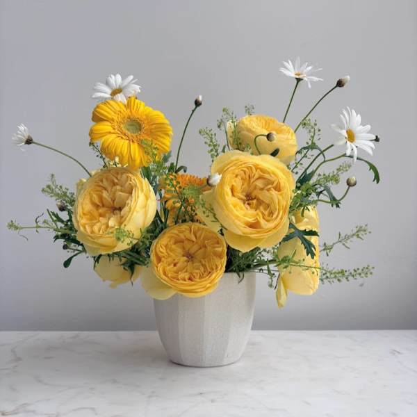 Canary Song