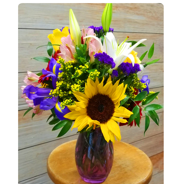 Ray of Sunshine
