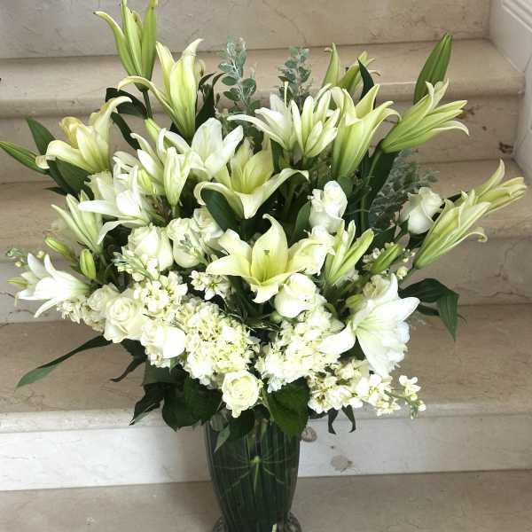 White Elegant Extravaganza