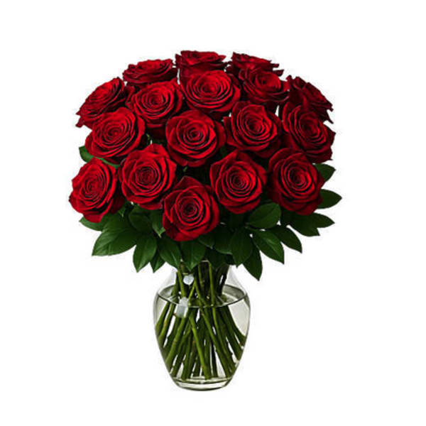 2 Dozen Fresh Red Roses