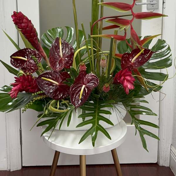 Tropical arrangement with red heliconia and burgundy anthuriums in a white container