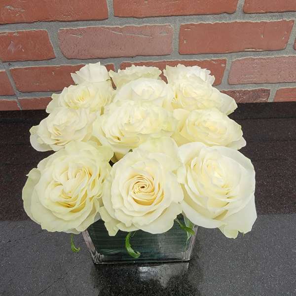 Low arrangement of pale cream roses in a square clear glass vase on a dark countertop