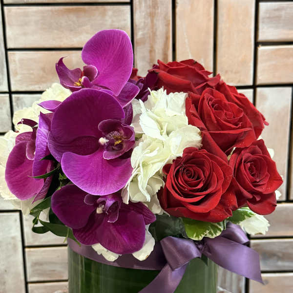 Velvet Orchid Romance