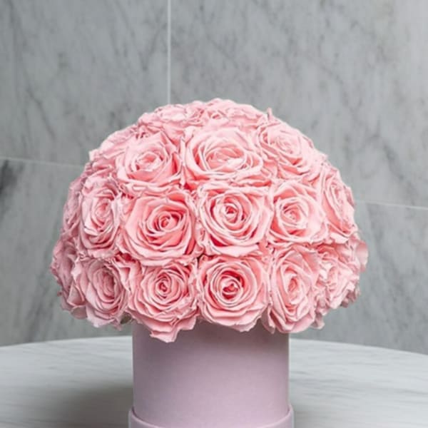 Pink Blossom Dreams