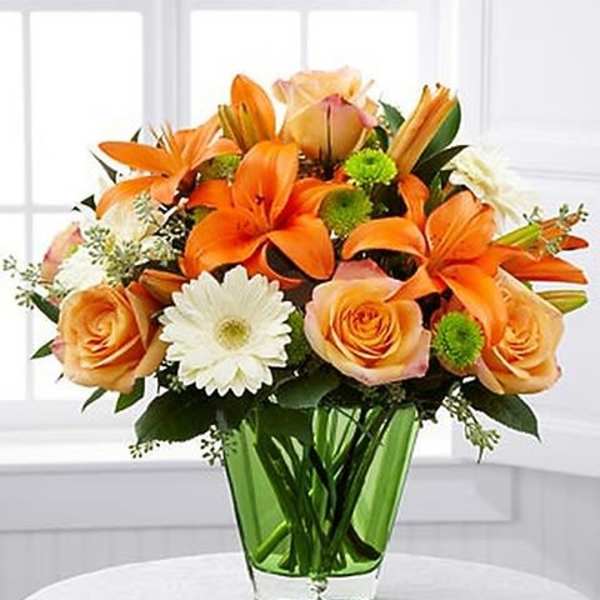 Birthday Wishes