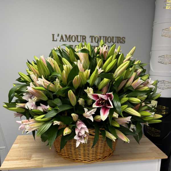 Basket of pink and white lilies with many unopened buds