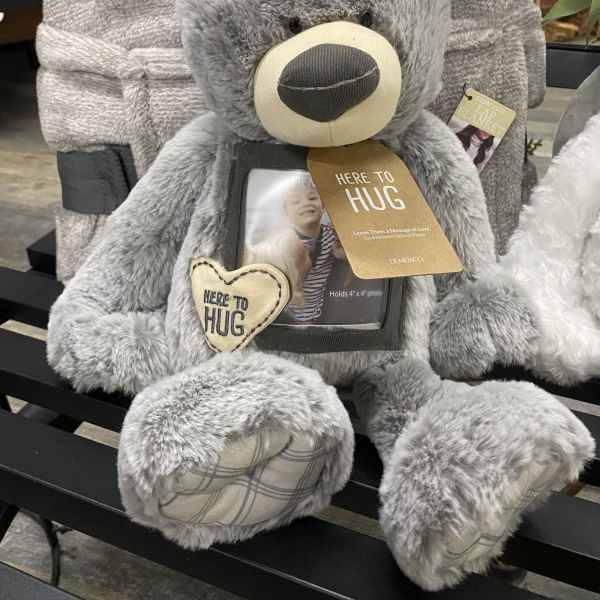 Here to Hug Bear