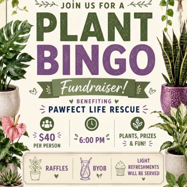 Pawfect Plant Bingo 9/24 Fundraiser