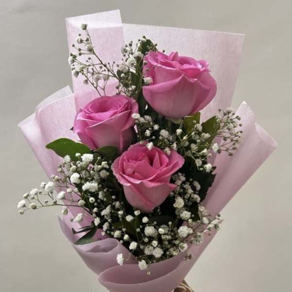 Pink Coquet