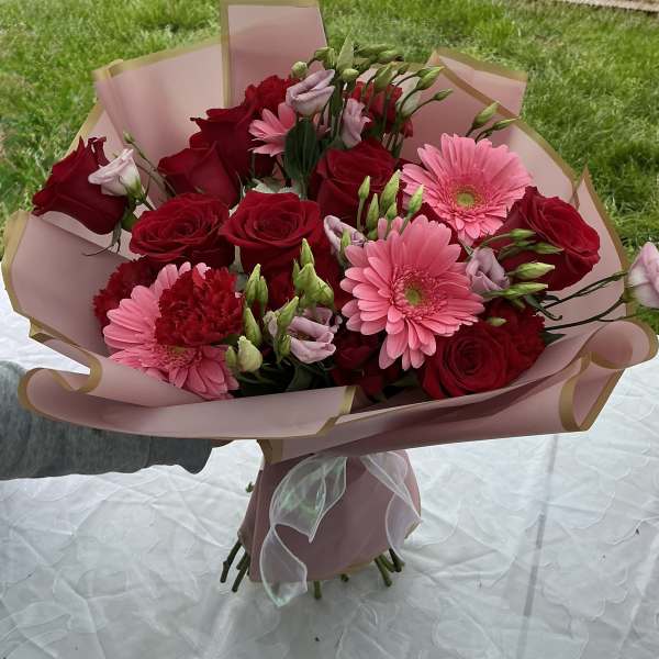 Rosegerberas