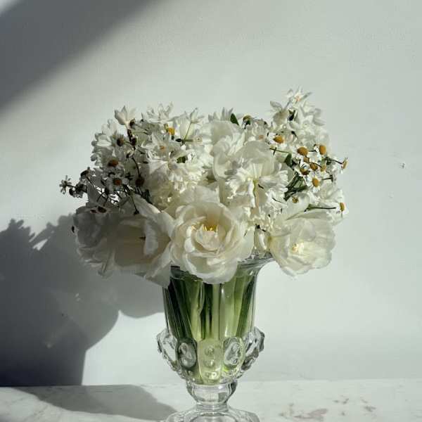 Spring Snow