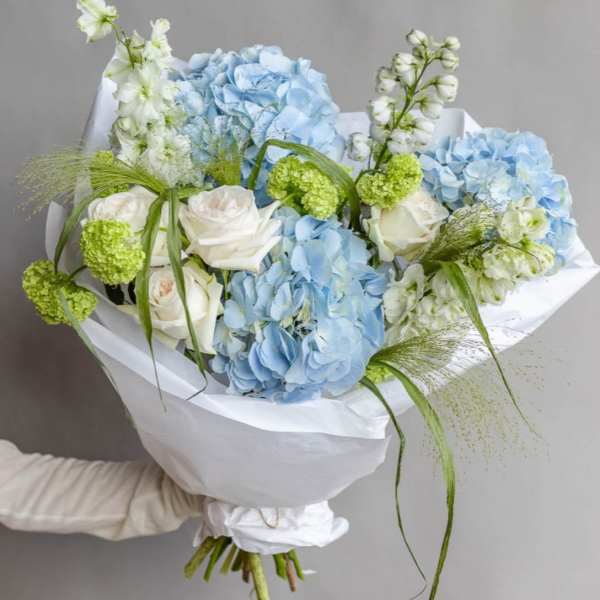 № 500